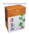 Moxibustion Stickers / Deity of America Moxibustion Warm Patch (Ai Jiu Tie) 10Pieces 
